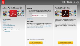 告別Flash時代 為何我們?nèi)噪y舍“過時”軟件與服務(wù)